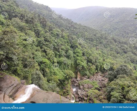 Silent Symphony: Navigating the Serenity of Nature S Melody Along the