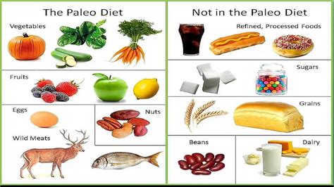 what kind of foods are allowed on the paleo diet paleo diet plan
