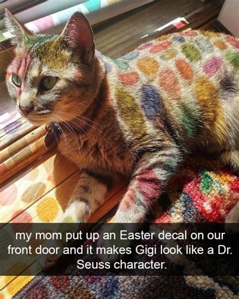 26 Hilarious Cat Snapchats That Need To Be Treasured Forever