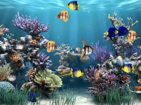 Animated Fish Aquarium Desktop Wallpapers Wallpapersafari Hot Sex Picture