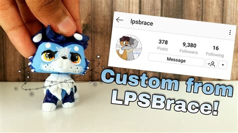 Lps Unboxing A Custom From Lpsbrace Youtube