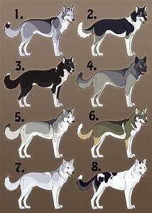 Siberian Husky Color Chart