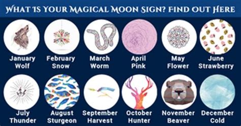 What Do Moon Signs Mean