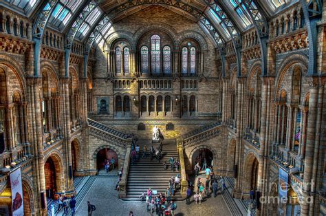 The Natural History Museum London Uk Photograph By Donald Davis Fine