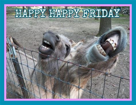 Happy Friday Animals Monsternet