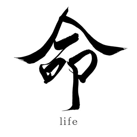 Japanese Kanji Tattoo Symbols Life Santen Design