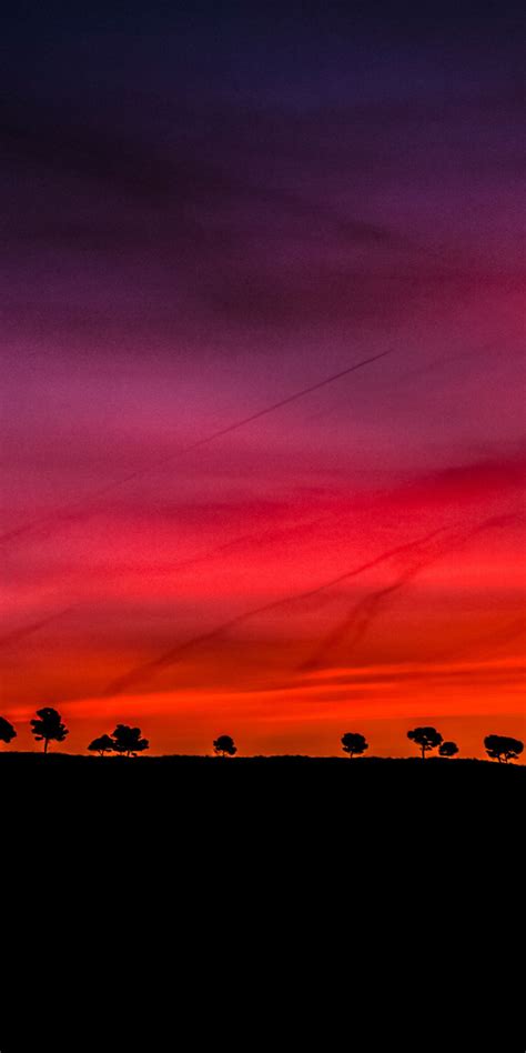 Early morning, sunrise, dark, red scenery, silhouette, 1080x2160 wallpaper | Dark red wallpaper ...