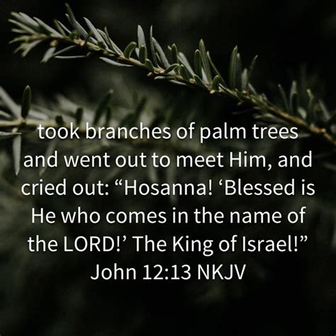 John 1213 Took Branches Of Palm Trees And Went Out To Meet Him And