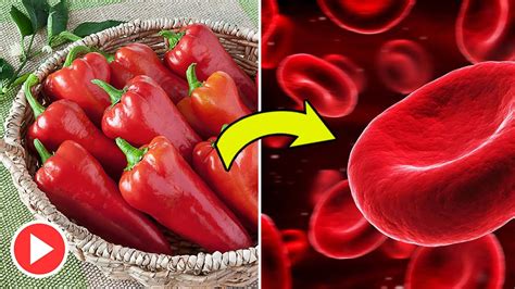 How To Increase Red Blood Cells Supplements To Increase Red Blood