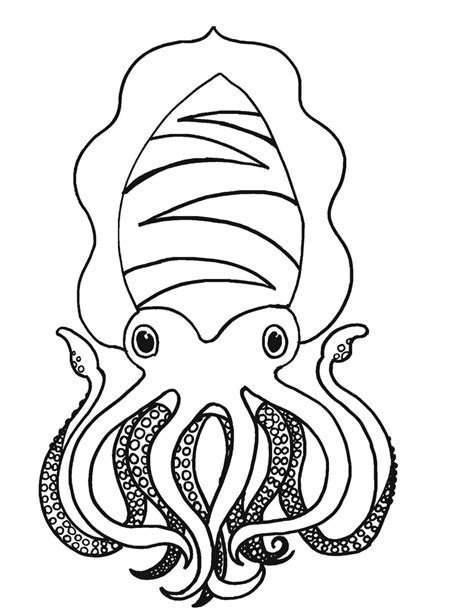 We have collected 37+ giant squid coloring page images of various designs for you to color. Coloring Squid ~ Child Coloring