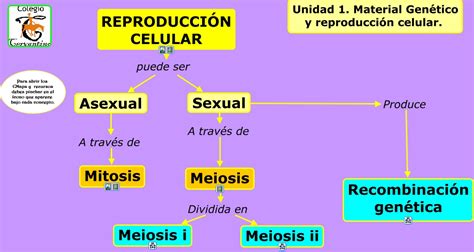 11 ReproducciÓn Celular