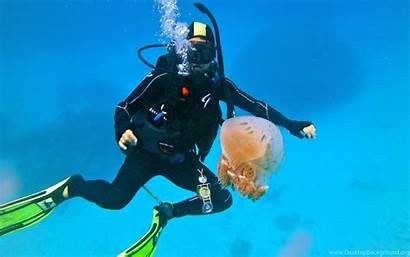 Diving Diver Scuba Sea Ocean Wallpapers Underwater