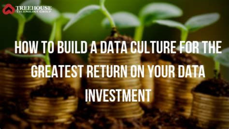 How To Build A Data Culture For The Best Roi Treehouse Tech Group