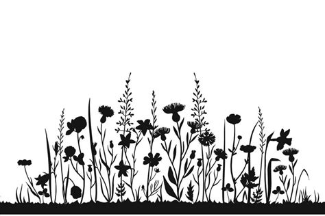 Wildflower silhouettes. Wild grass spring field. Herbal summ (1027583