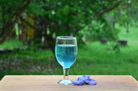 The butterfly pea flower contains flavonoids known to cause uterine contractions, so pregnant women should avoid consuming it, he added. 10 Top Health Benefits Of Blue Butterfly Pea Flower Tea ...