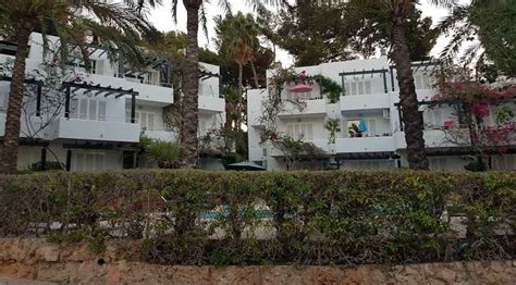 Jul 02, 2014 · in 1839, the captives who carried out the amistad mutiny had no idea it would become the most famous slave ship rebellion in american history. Los Tilos Paguera - Urlaub im Apartment in Paguera Mallorca