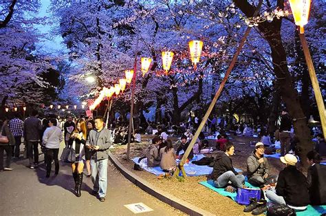 Tokyo Travel Guide Ueno Recipetin Eats