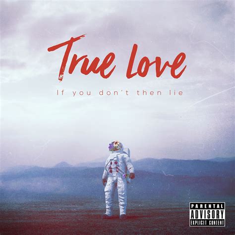 True Love Song Cover Artwork Design Book Design Layout Album Cover