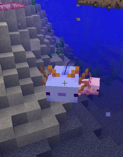 Minecraft Axolotl Cut Out