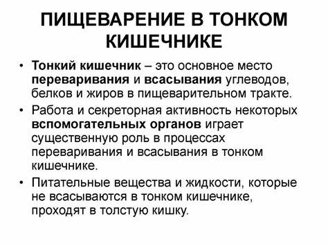 Желудочная диета 5 Желудочная секреция. Фазы желудочной секреции - online presentation Желудочная секреция. Фазы желудочной секреции - online presentation Желудочная диета 5