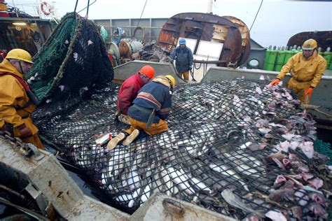 Pesca Illegale Sconfiggerla Si Può Fermando Le Navi Pirata Lifegate