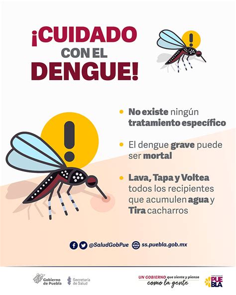 Confirma Secretaría De Salud Solo 77 Casos De Dengue En El Estado