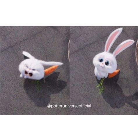Nice And Evil Rabbit Memes Imgflip