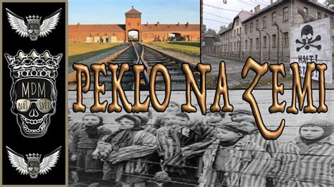 Watch short videos about #osvetim on tiktok. OSVĚTIM | AUSCHWITZ | BIRKENAU | BŘEZINKA | VAROVÁNÍ ...