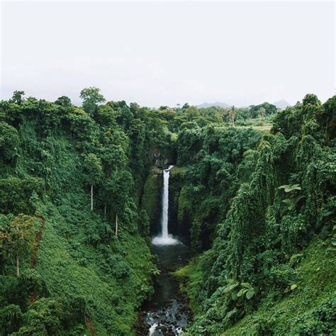 Archillect On Twitter Green Aesthetic Tropical Aesthetic Waterfall