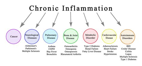 How To Detect Silent Inflammation An Early Warning Of Un Diagnosed