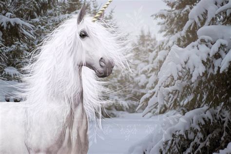 Magical Unicorn Winter Forest Digital Background Winter Snow Etsy Uk