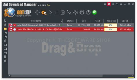 Ant Download Manager v1.17.1 Full Version - Free License Giveaway in ...