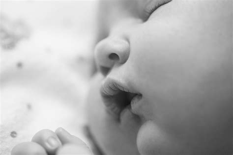 Newborn Baby Close Up Portrait Of A Beautiful Sleeping Baby Fotos