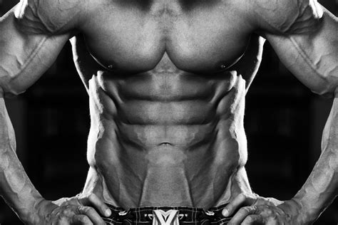 5 Reasons Youre Not Shredded Coach