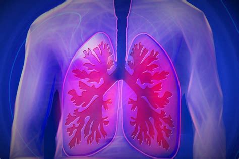 Chronic Obstructive Pulmonary Disease Home And Garden Information Center