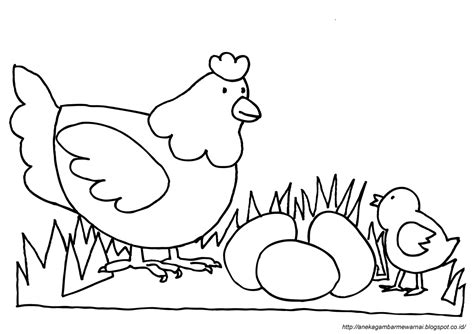 Gambar doraemon hitam putih untuk mewarnai. Gambar Mewarnai Ayam Untuk Anak PAUD dan TK