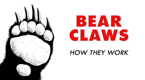 Bear Claws How They Work