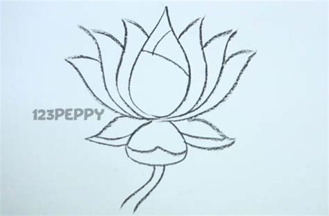 Design & fashion in mandi bahauddin. How to Draw.....step by step....tons of diff. things to ...