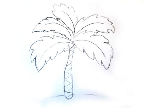 Как нарисовать листья пальмы 25 фото