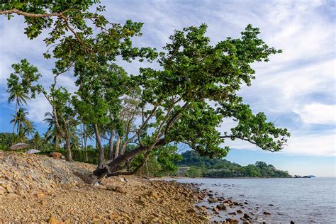 Best Beaches In Koh Chang What Is The Most Popular Beach In Koh Chang Go Guides