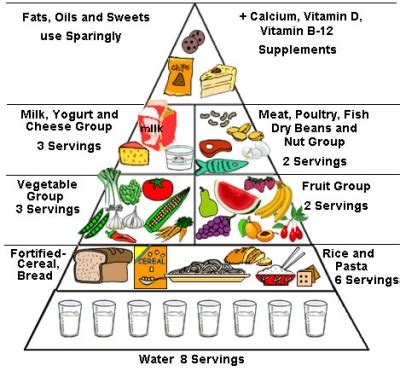 How many basic food groups are there and what are they? How Many Servings Of Each Food Group Children Need To Stay ...