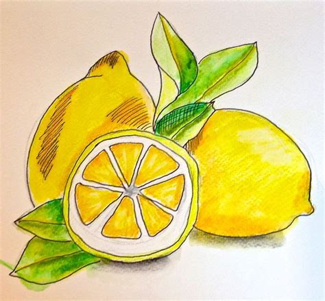 When You Get Lemons Draw Them Lemon Art Lemon Drawing Drawings