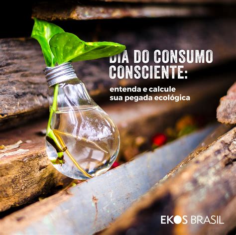 Frases Sobre Consumo Consciente