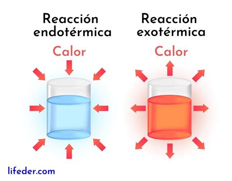 Reacción Exotérmica Concepto Características Y Ejemplos