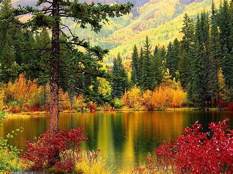 Nature Lake Mountain Fall Autumn Beautiful Colors Landscape Red