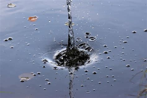 Water Drops On Smooth Water Surface Stock Image Image Of Surface