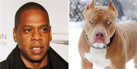 25 Celebrities And Their Ultimate Dog Look Alikes 25 Celebrities And