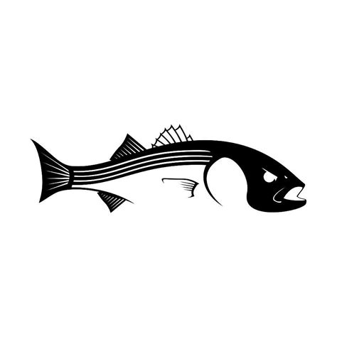 Download Striped Bass Decal | Bass fishing, Fishing decals, Striped bass