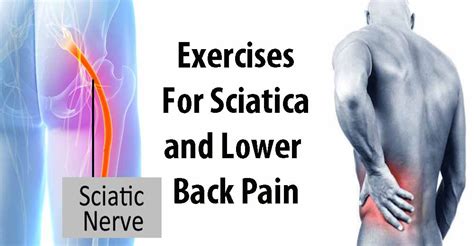 6 Of The Best Exercises For Sciatica And Lower Back Pain Holistic