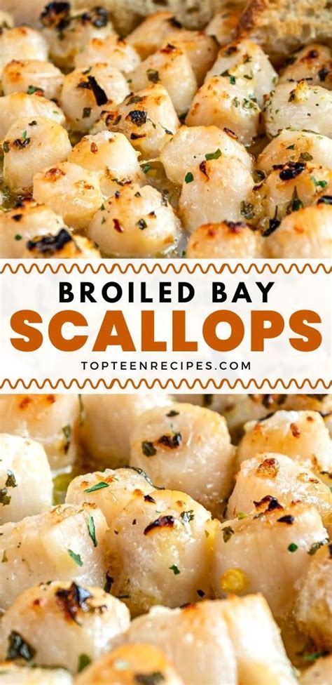Broiled Bay Scallops Recipe Shrimp And Scallop Recipes Bay Scallop Recipes Seafood Recipes